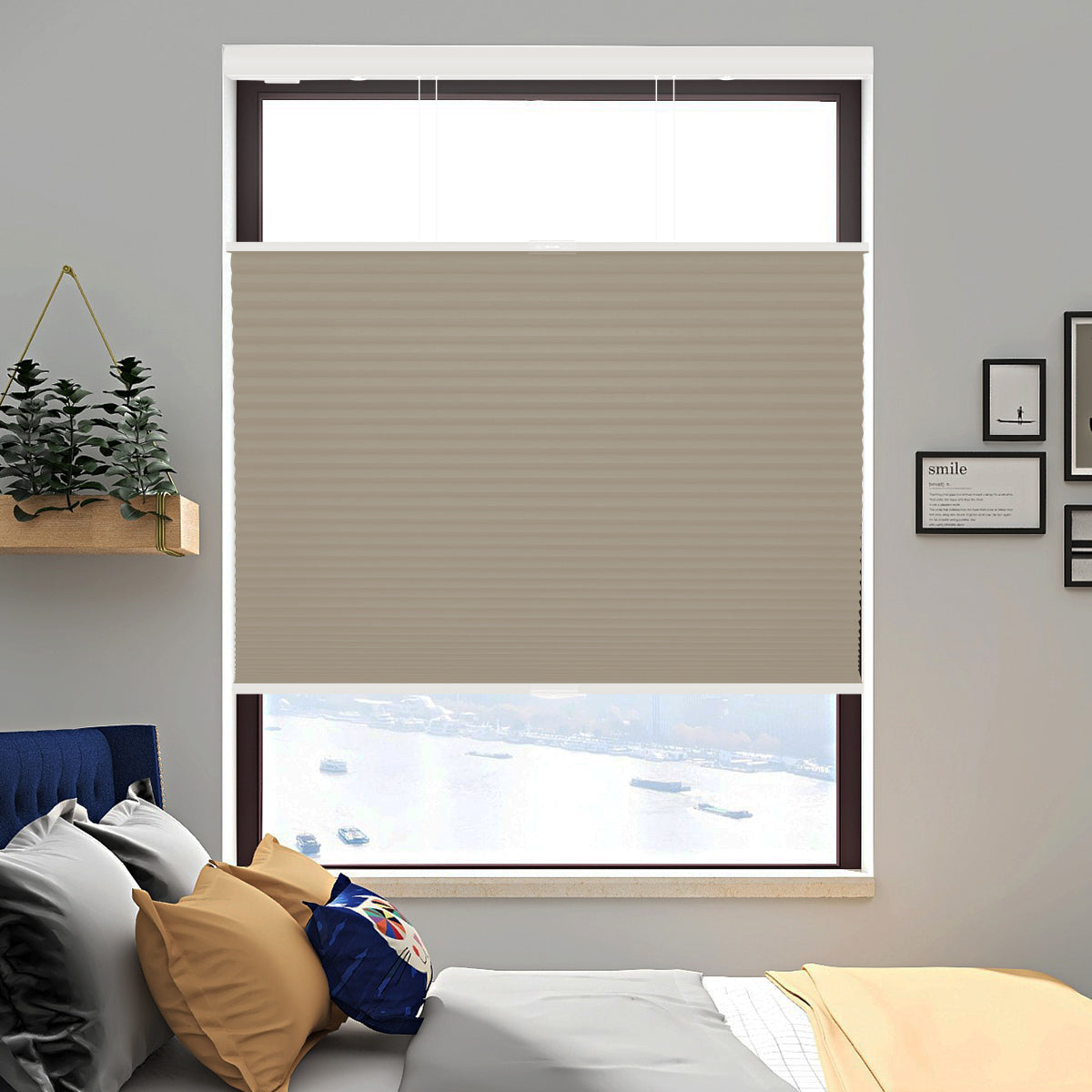 HDJDRAPI Top Down Bottom Up Blackout Cellular Shades, Cordless Honeycomb Blinds