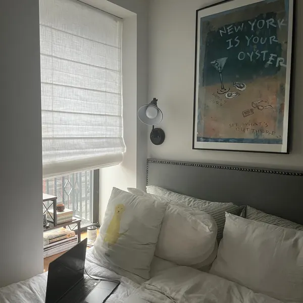 HDJDRAPI Roman Shades for Windows, No-Drill Cordless Blackout, Custom Linen Prints